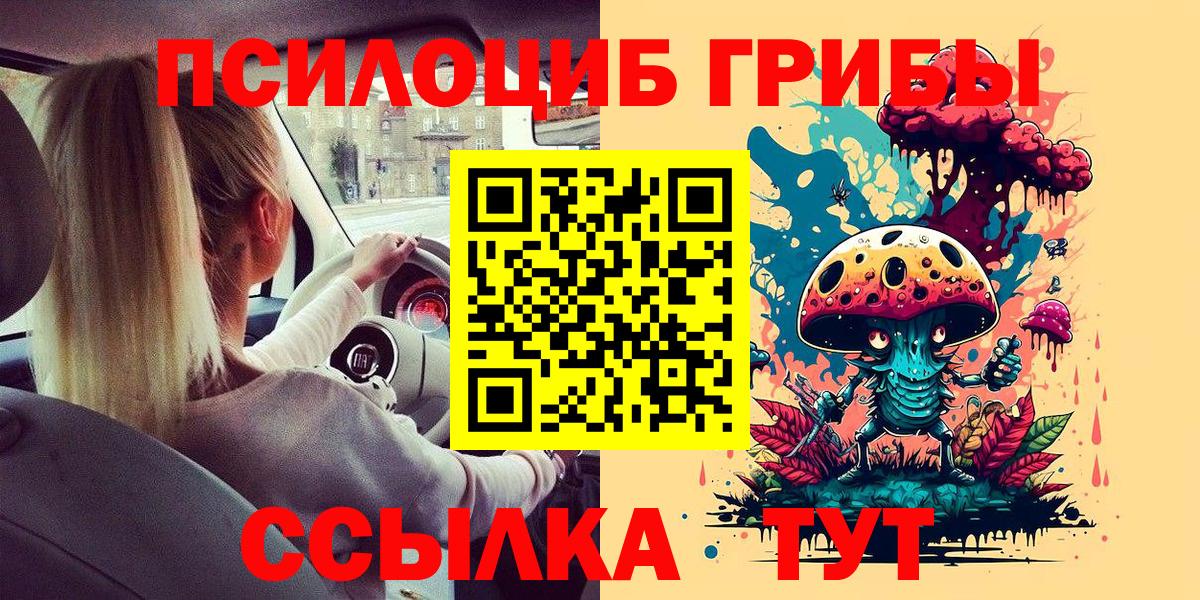 Казань  Галлюциногенные грибы Psilocybe  Вход с VPN 