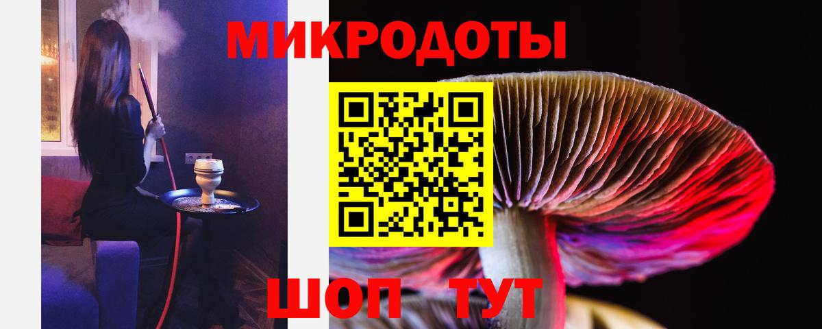 Псилоцибиновые грибы мицелий Казань